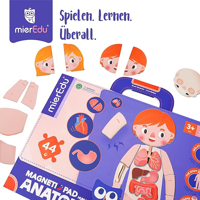 MierEdu Magnet Pad - Menschliche Anatomie - Lehrt Körperteile, Knochen &Organe
