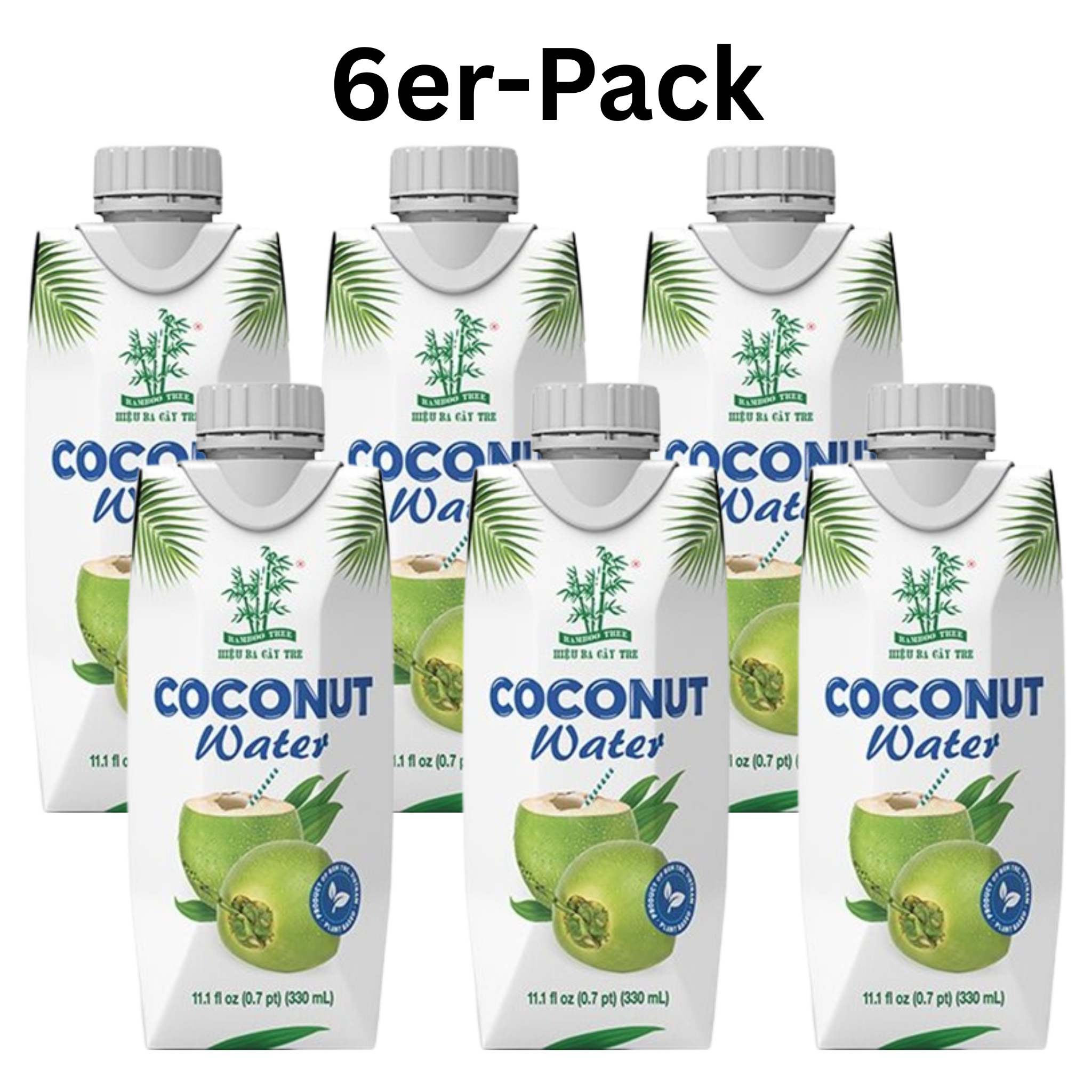 Bamboo Tree Kokoswasser 330ml (6er-Pack)